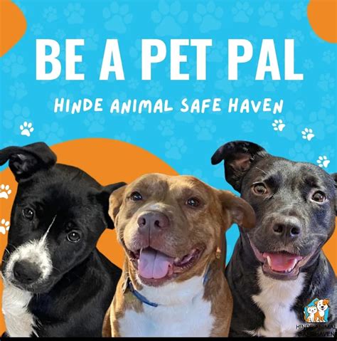 Hindes animal safe haven  January 1, 2018 ·